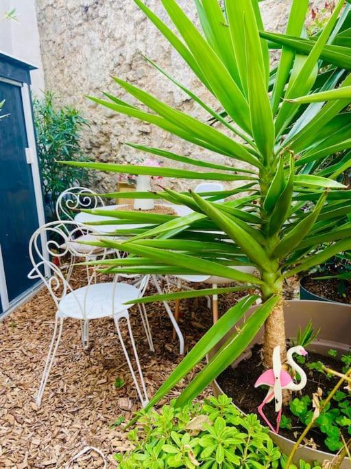 Havre De Paix Avec Jardin Et Clim En Centre Ville De Sète Extérieur photo
