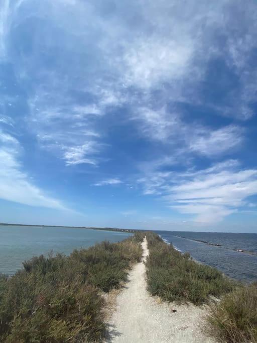 Havre De Paix Avec Jardin Et Clim En Centre Ville De Sète Extérieur photo